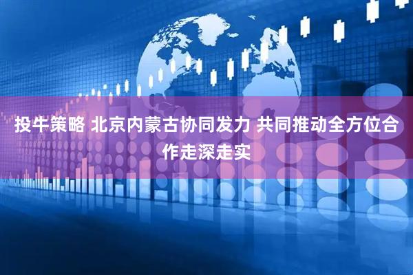 投牛策略 北京内蒙古协同发力 共同推动全方位合作走深走实